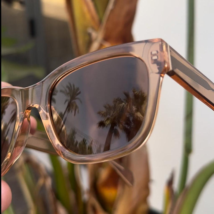 Polarized Acetate Sunglasses